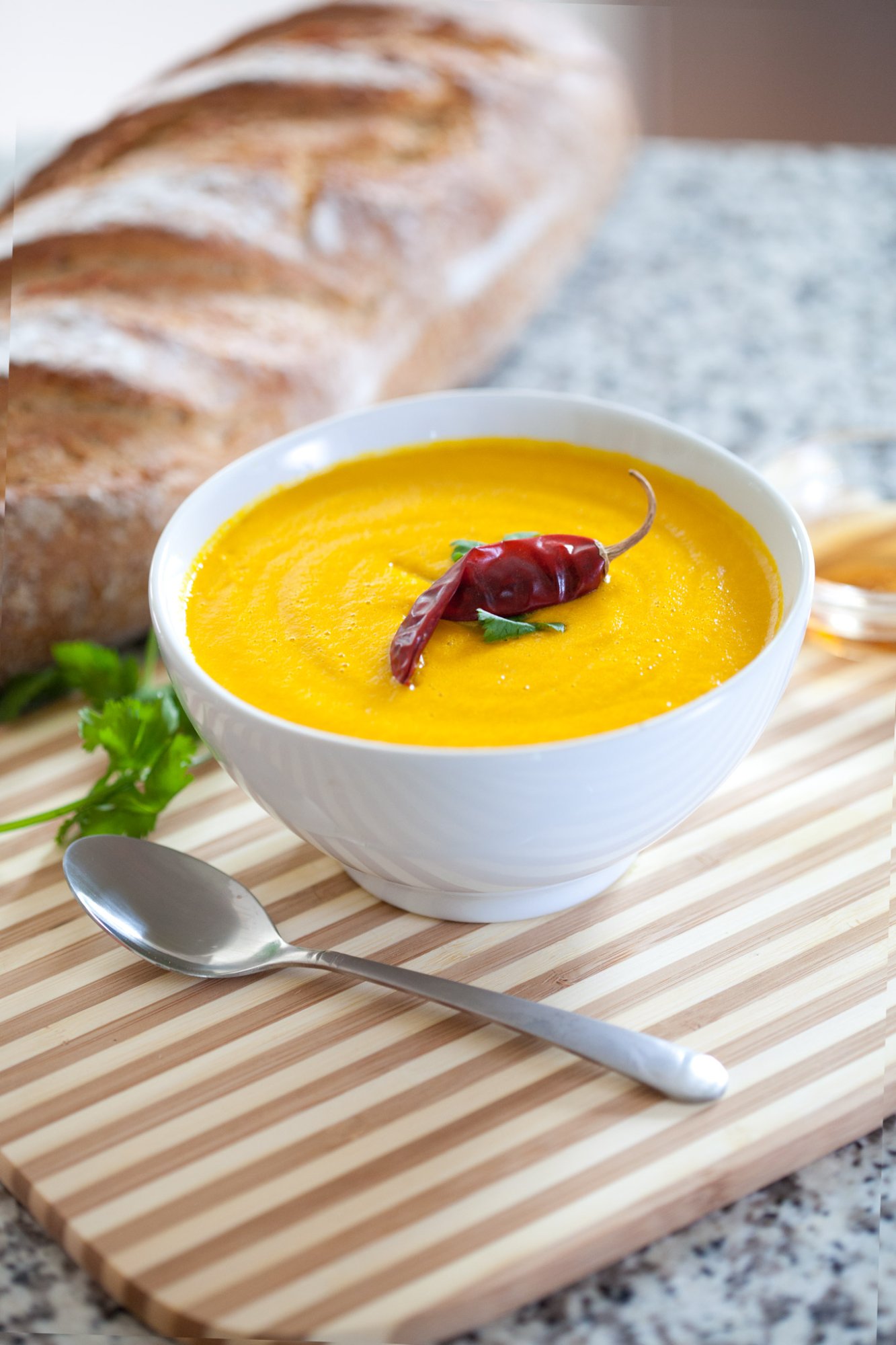 Hamilton Beach soup maker commercial food photography